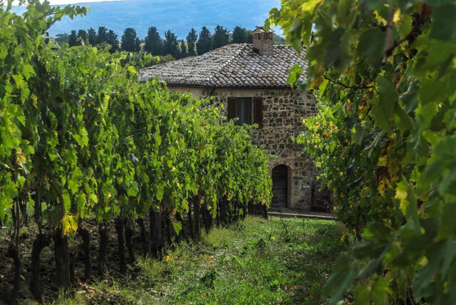 Pian dell'Orino