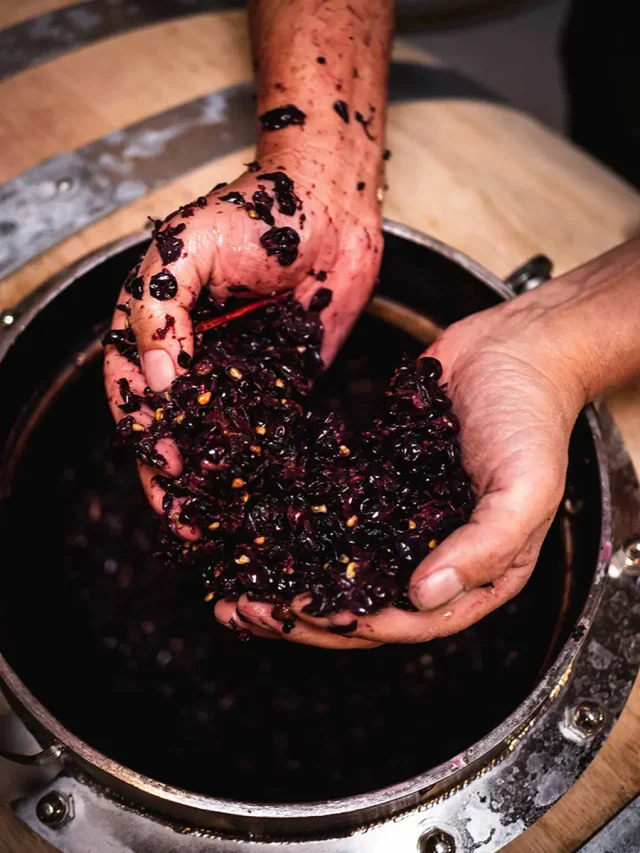 Neiss_DeWijnwinkel_01