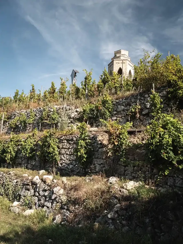 Neiss_DeWijnwinkel_03