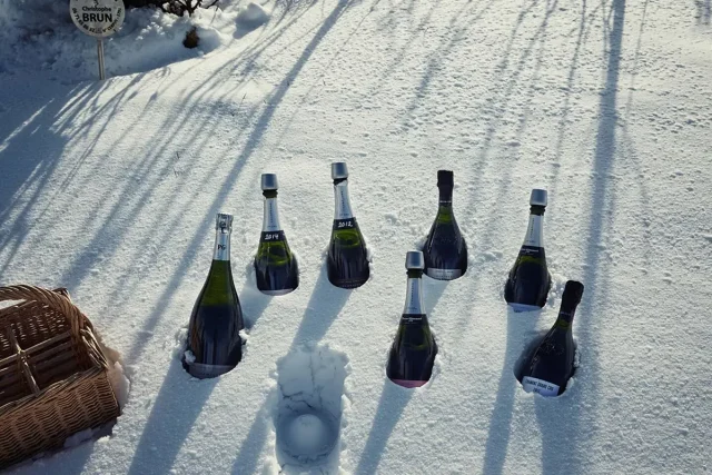 PierreGimonnet_DeWijnwinkel_02