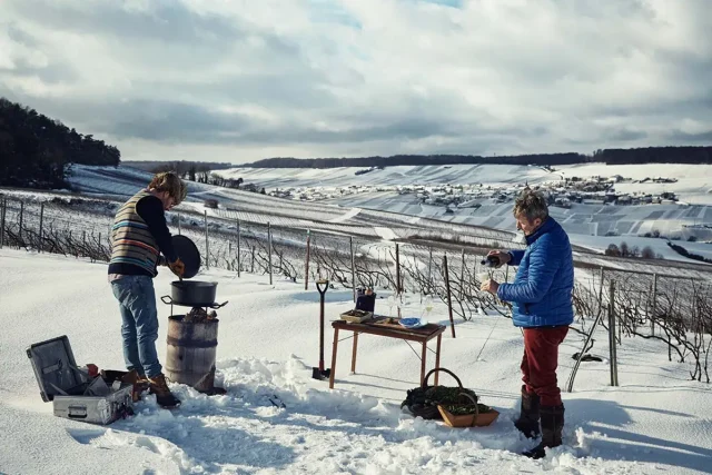 PierreGimonnet_DeWijnwinkel_03