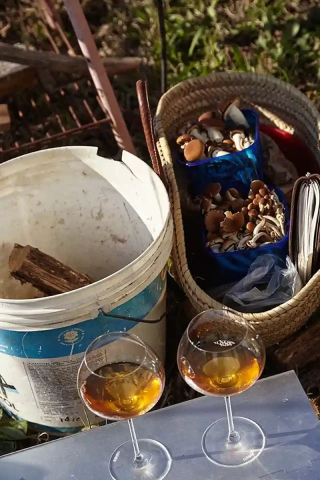 Radikon_DeWijnwinkel_02