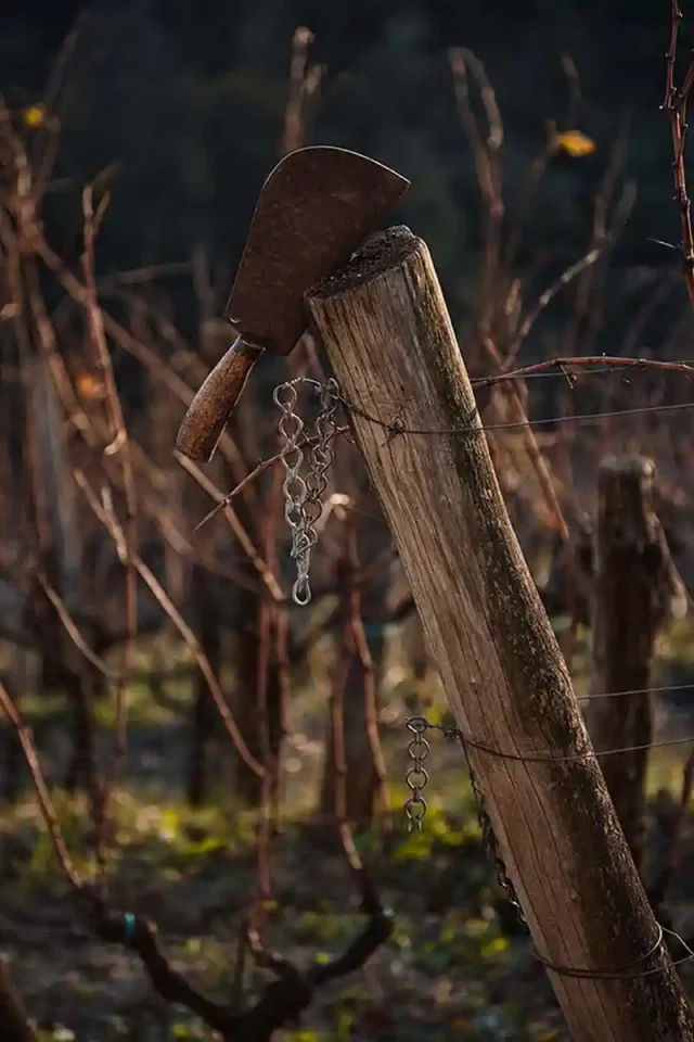 Radikon_DeWijnwinkel_04