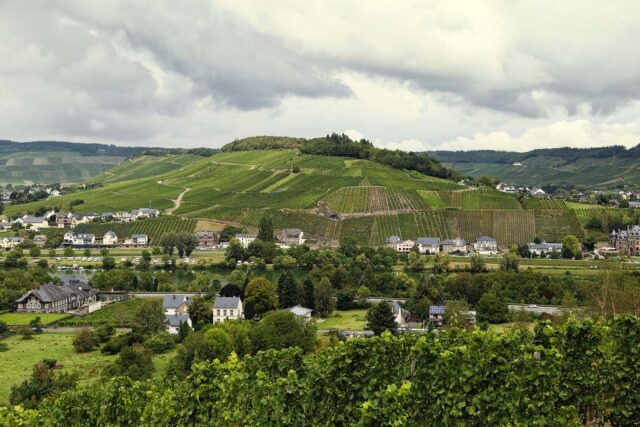 Mosel - Max Ferd. Richter