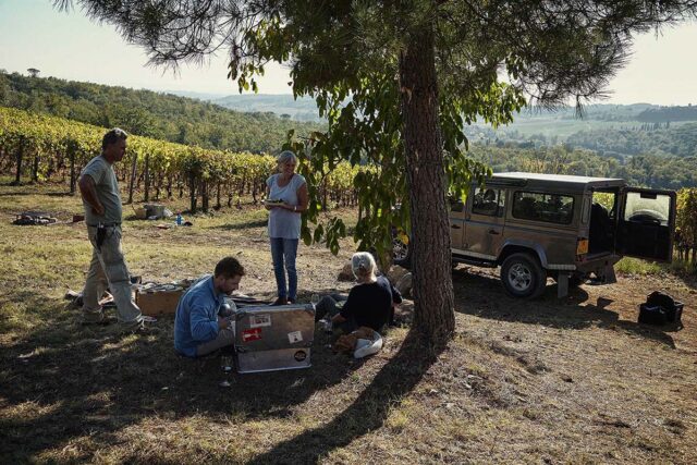 San Giusto a Rentennano