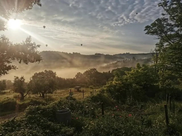 Corzano e Paterno