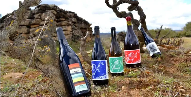 El_Mozo_DeWijnwinkel_04