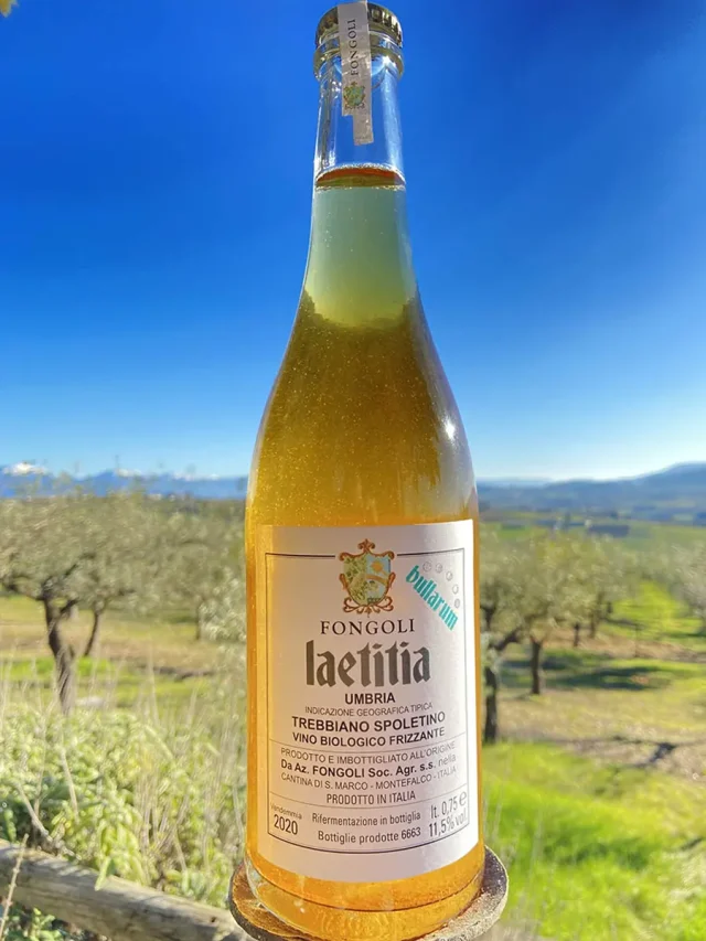 DeWijnwinkel_Oranjewijn_01