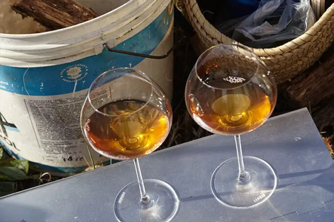 Orange Wine: What Is It?