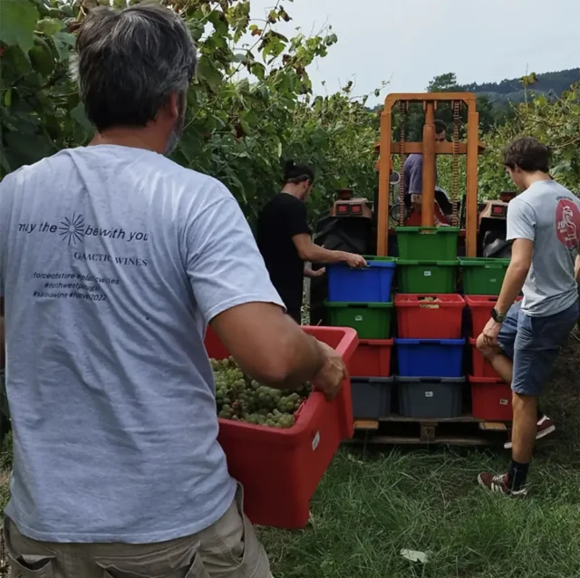 GalacticWines_DeWijnwinkel_02